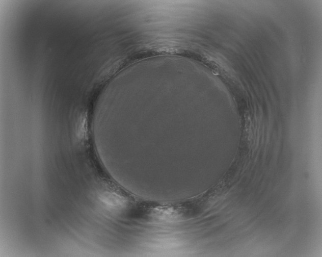 X0000070250502200606161915