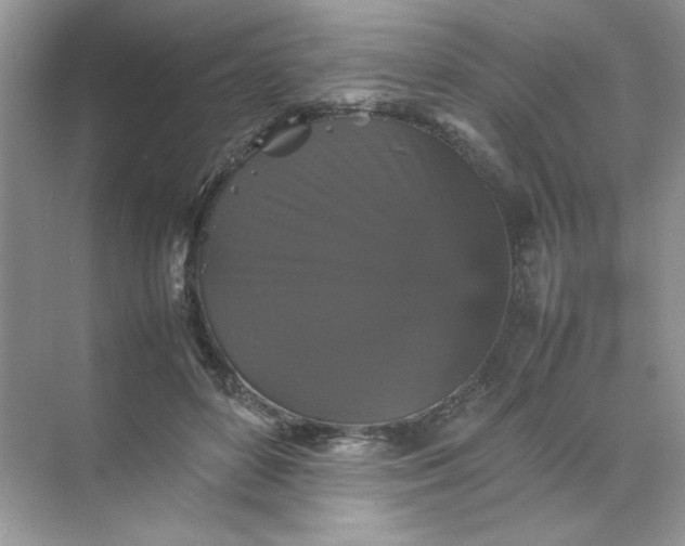 X0000070250504200606161915