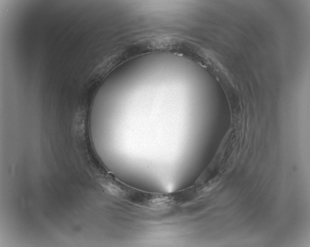 X0000070250505200606161915