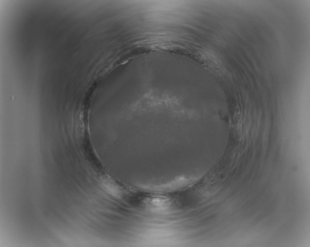 X0000070250506200606161915