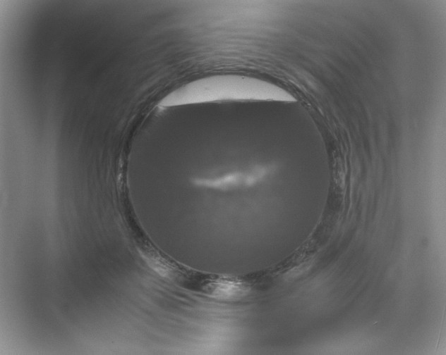 X0000070250507200606161915