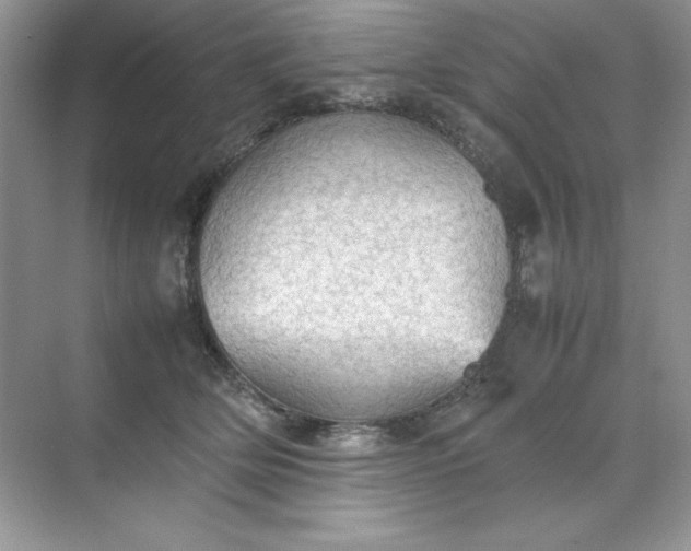 X0000070250514200606161915