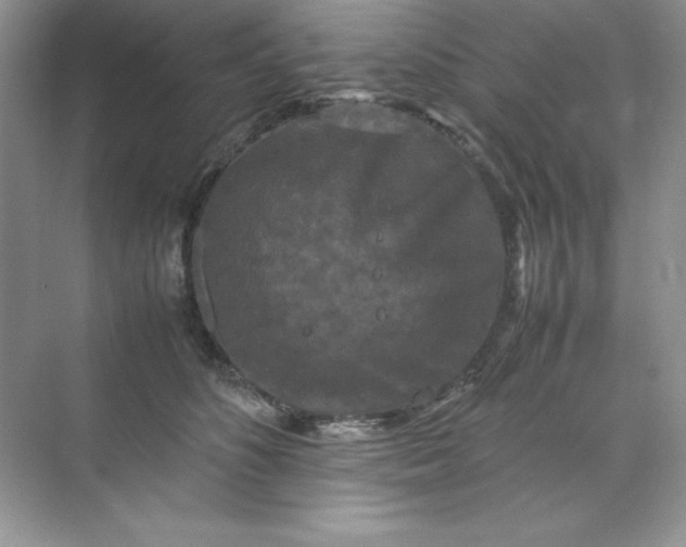 X0000070250516200606161915