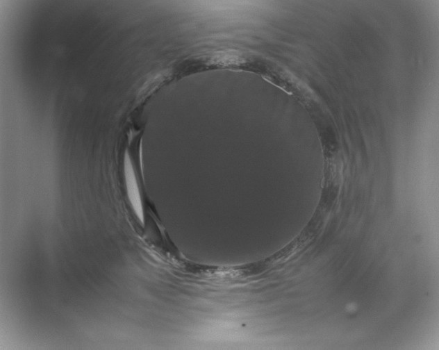 X0000070250517200606161915