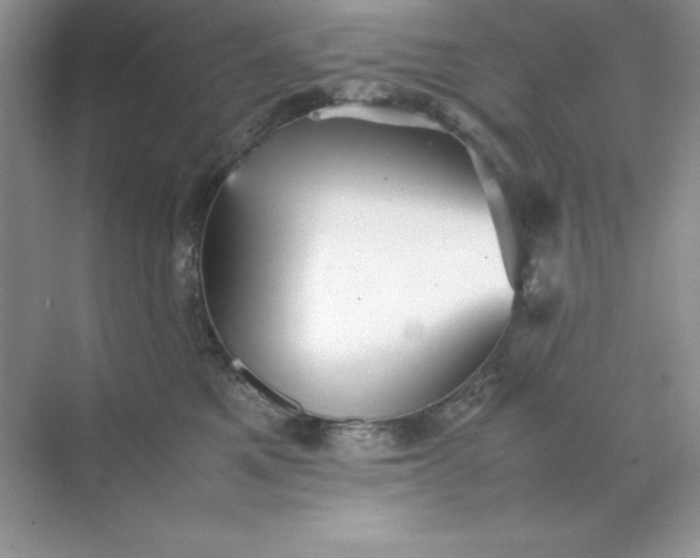 X0000070250521200606161915