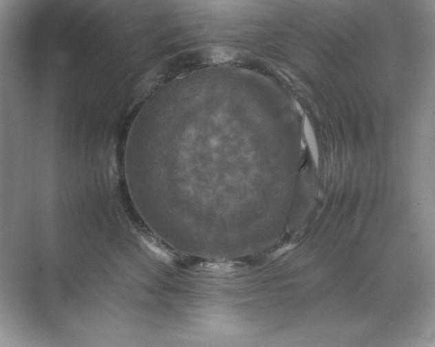 X0000070250524200606161915
