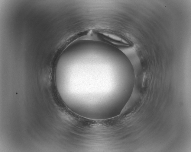 X0000070250544200606161914