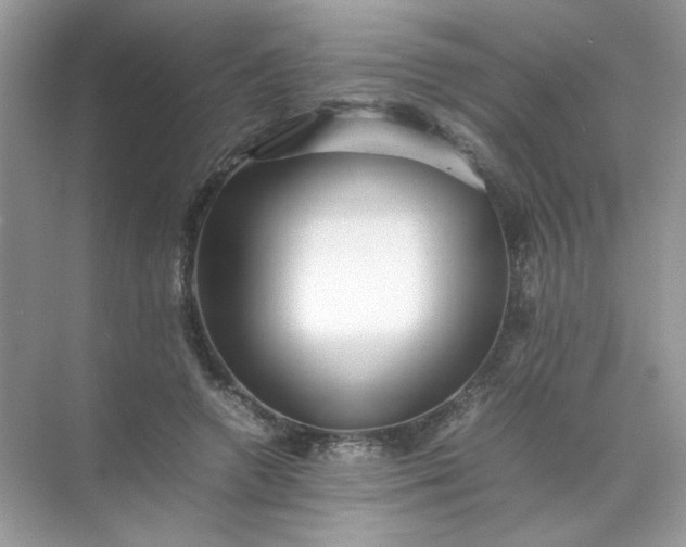 X0000070250546200606161914