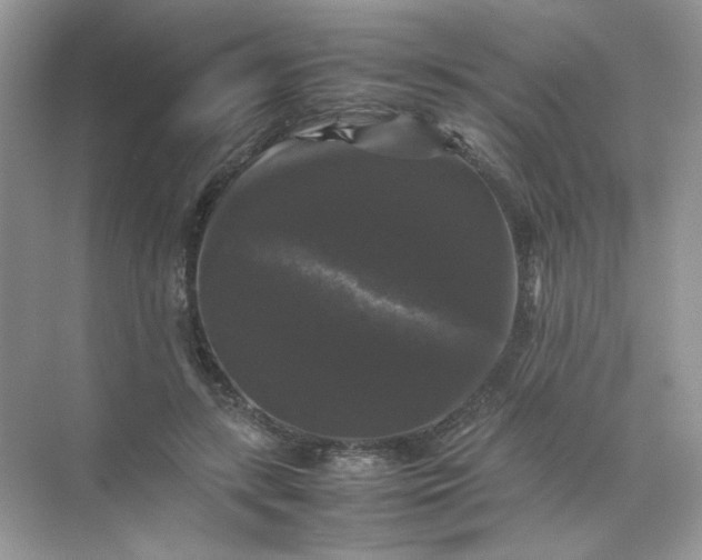 X0000070250547200606161914