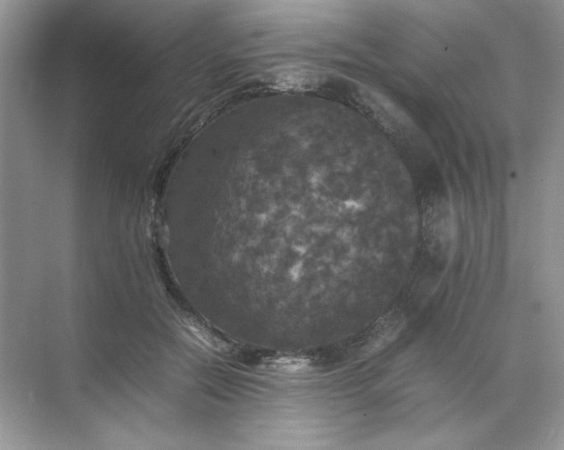 X0000070250554200606161915