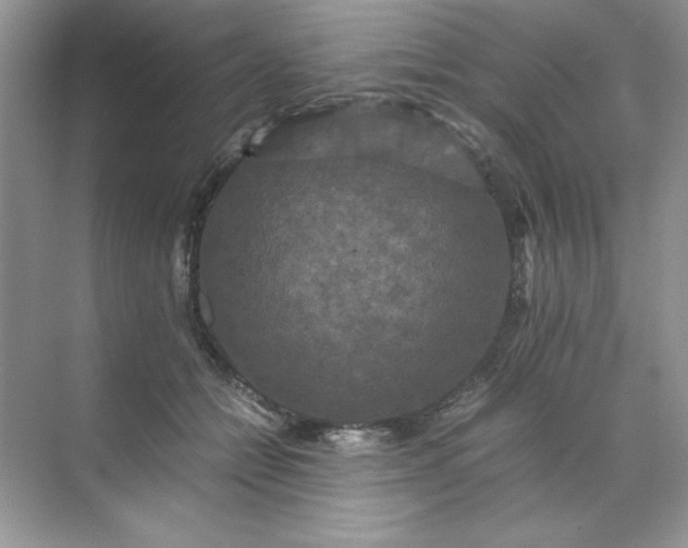 X0000070250558200606161915