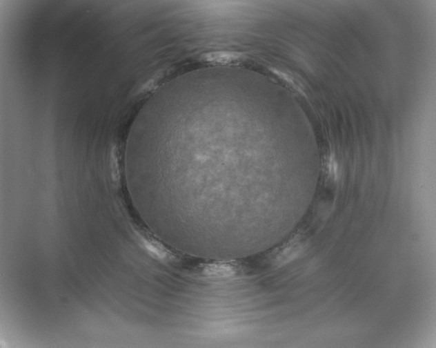 X0000070250572200606161915