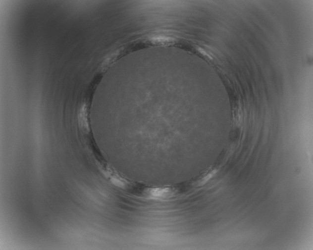 X0000070250575200606161915