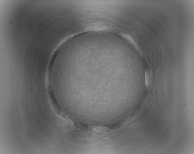 X0000070250579200606161914