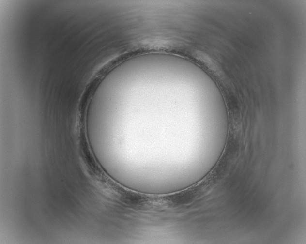 X0000070250583200606161914