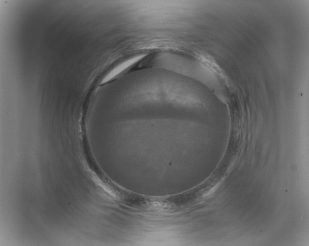X0000070250585200606161914