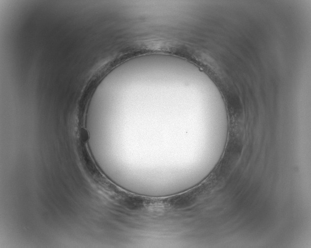 X0000070250587200606161914