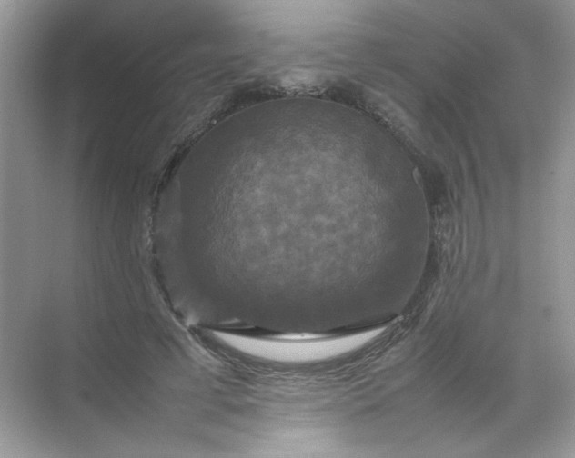 X0000070250593200606161914