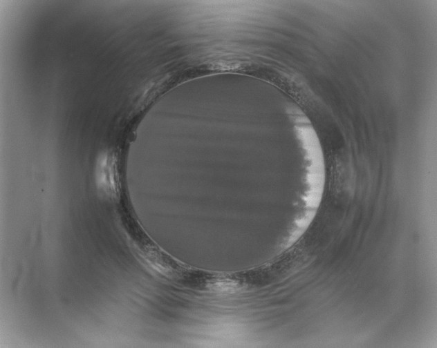 X0000070250598200606161914