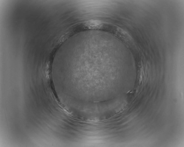 X0000070250604200606161914