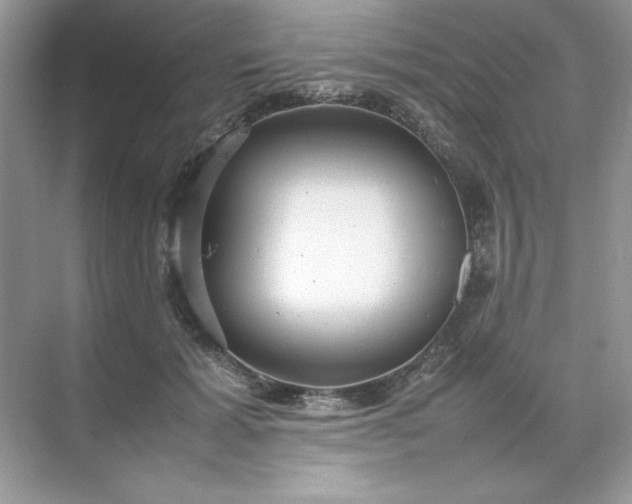 X0000070250605200606161914