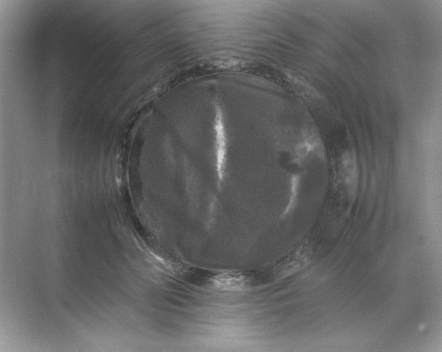 X0000070250606200606161914
