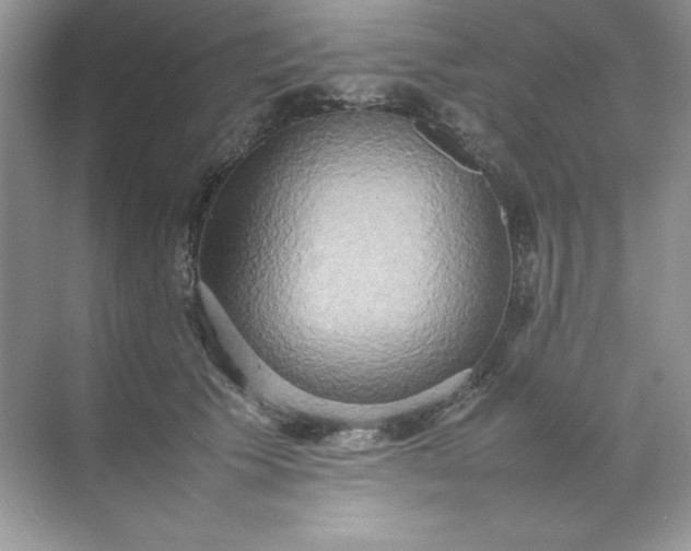 X0000070250609200606161914