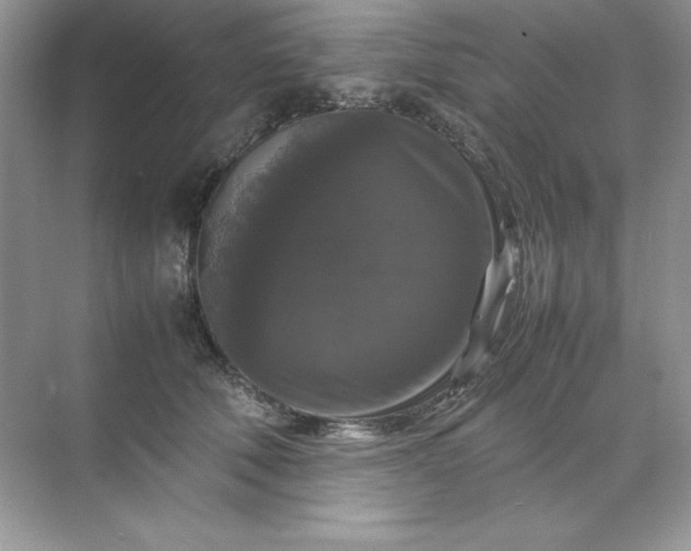 X0000070250610200606161914