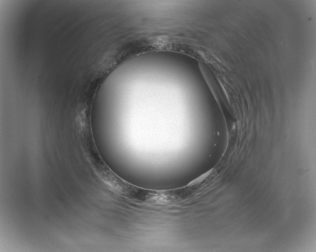 X0000070250611200606161914