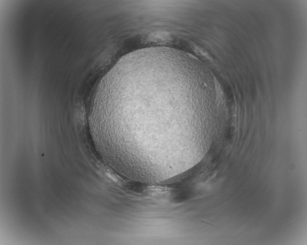 X0000070250617200606161913