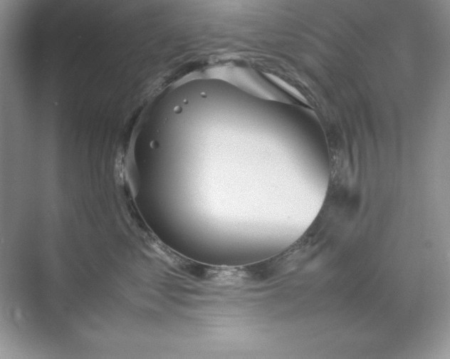 X0000070250621200606161913
