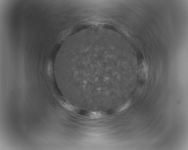 X0000070250623200606161913
