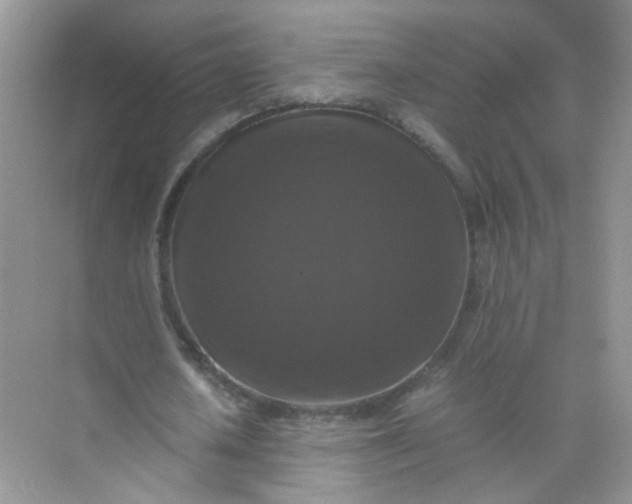 X0000070250626200606161913