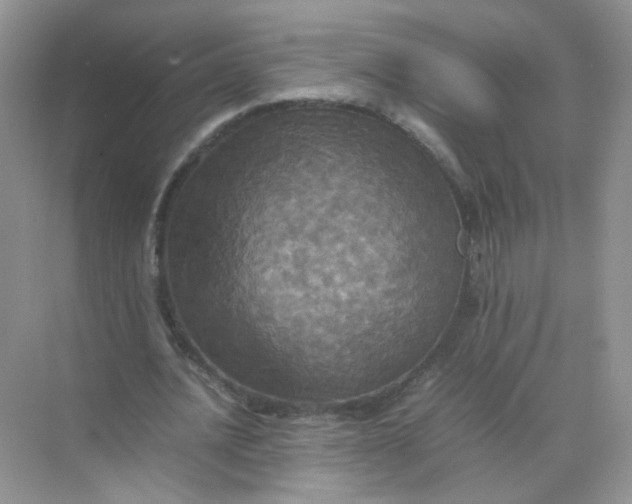 X0000070250628200606161913