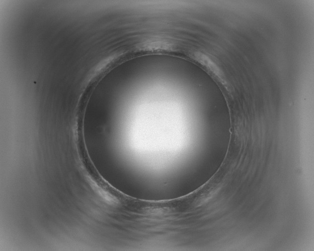 X0000070250629200606161913