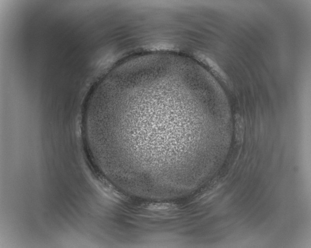 X0000070250631200606161913