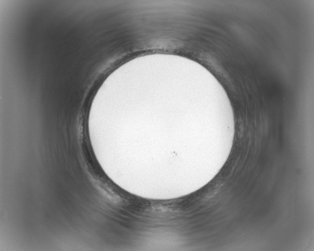 X0000070250632200606161913