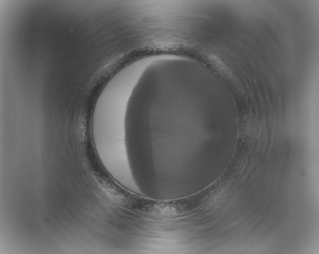 X0000070250640200606161913