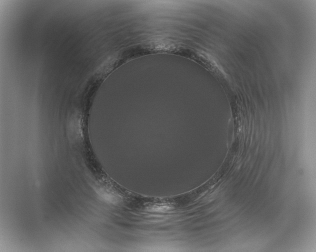 X0000070250643200606161913