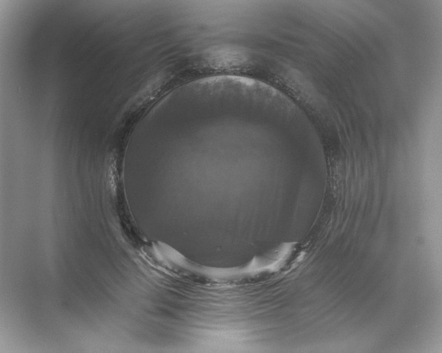X0000070250644200606161913