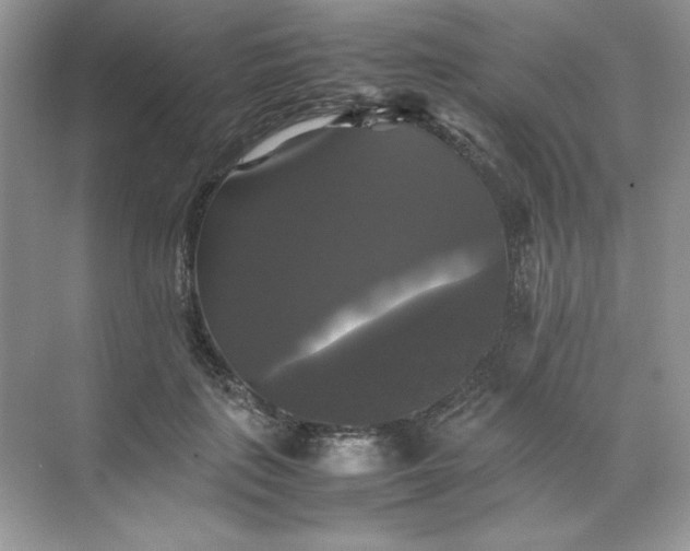 X0000070250651200606161913
