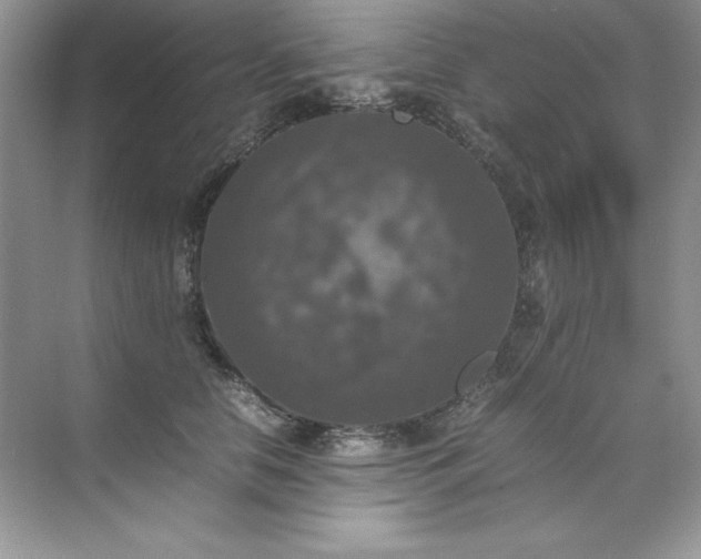 X0000070250658200606161913