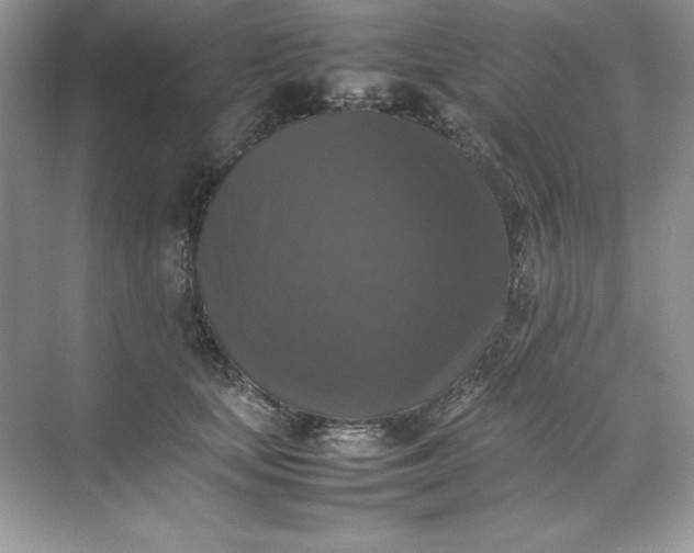 X0000070250659200606161913