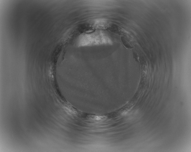 X0000070250663200606161913