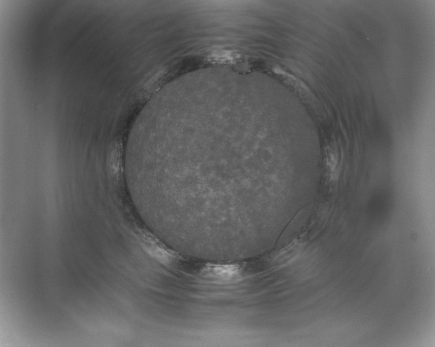 X0000070250665200606161913