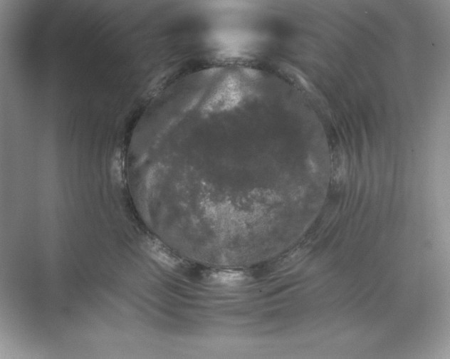 X0000070250669200606161913