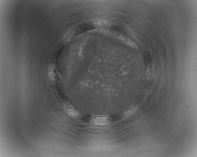 X0000070250671200606161913