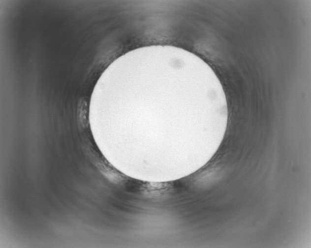 X0000070250672200606161913