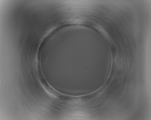 X0000070250674200606161912