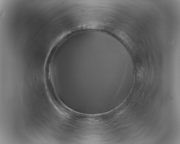 X0000070250678200606161912